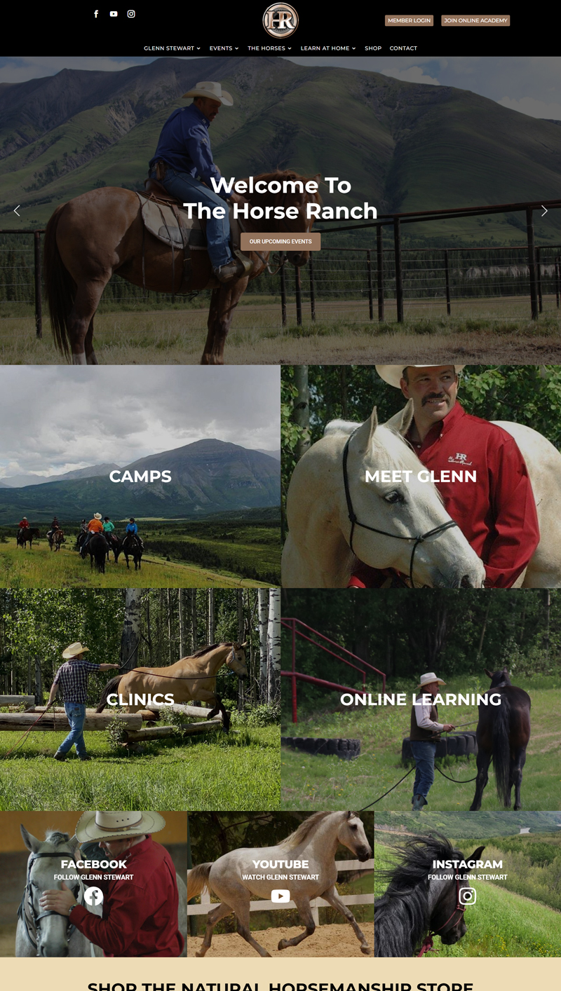 Affordable Dressage Farm Websites by Industry Experts image 1