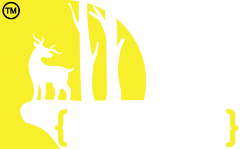 DesignsLabPro